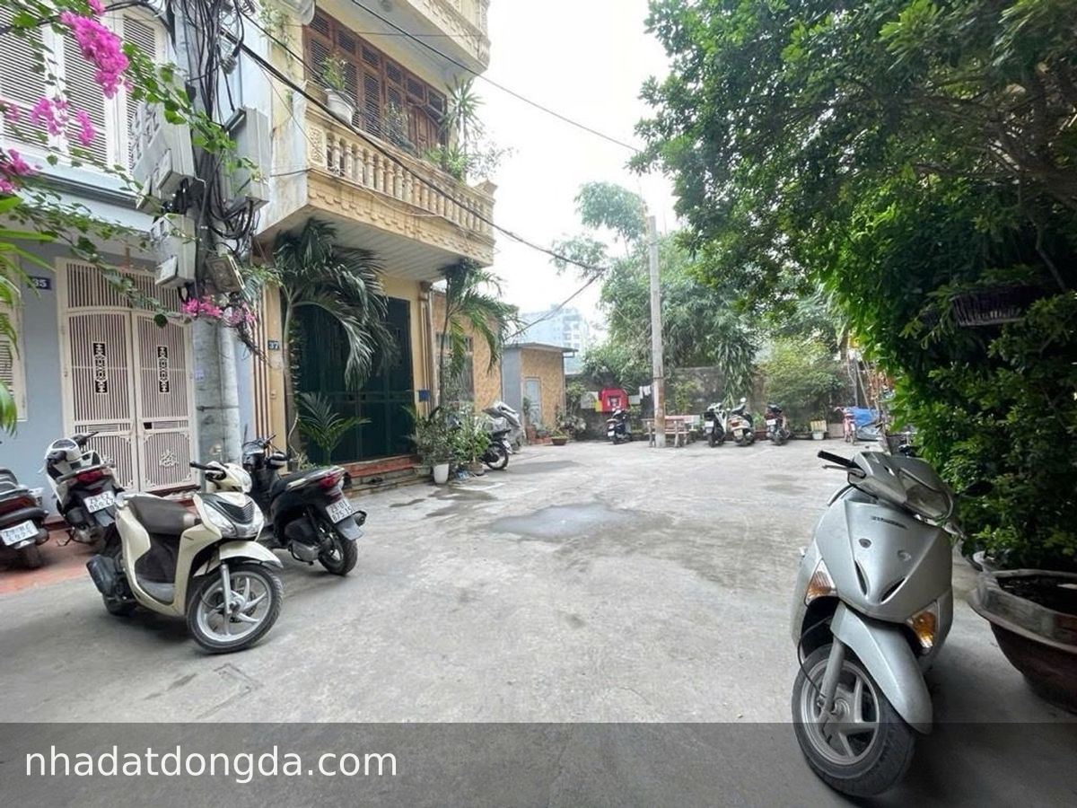 Nhà Quốc Tử Giám, Văn Miếu - Quốc Tử Giám, 8.2 tỷ