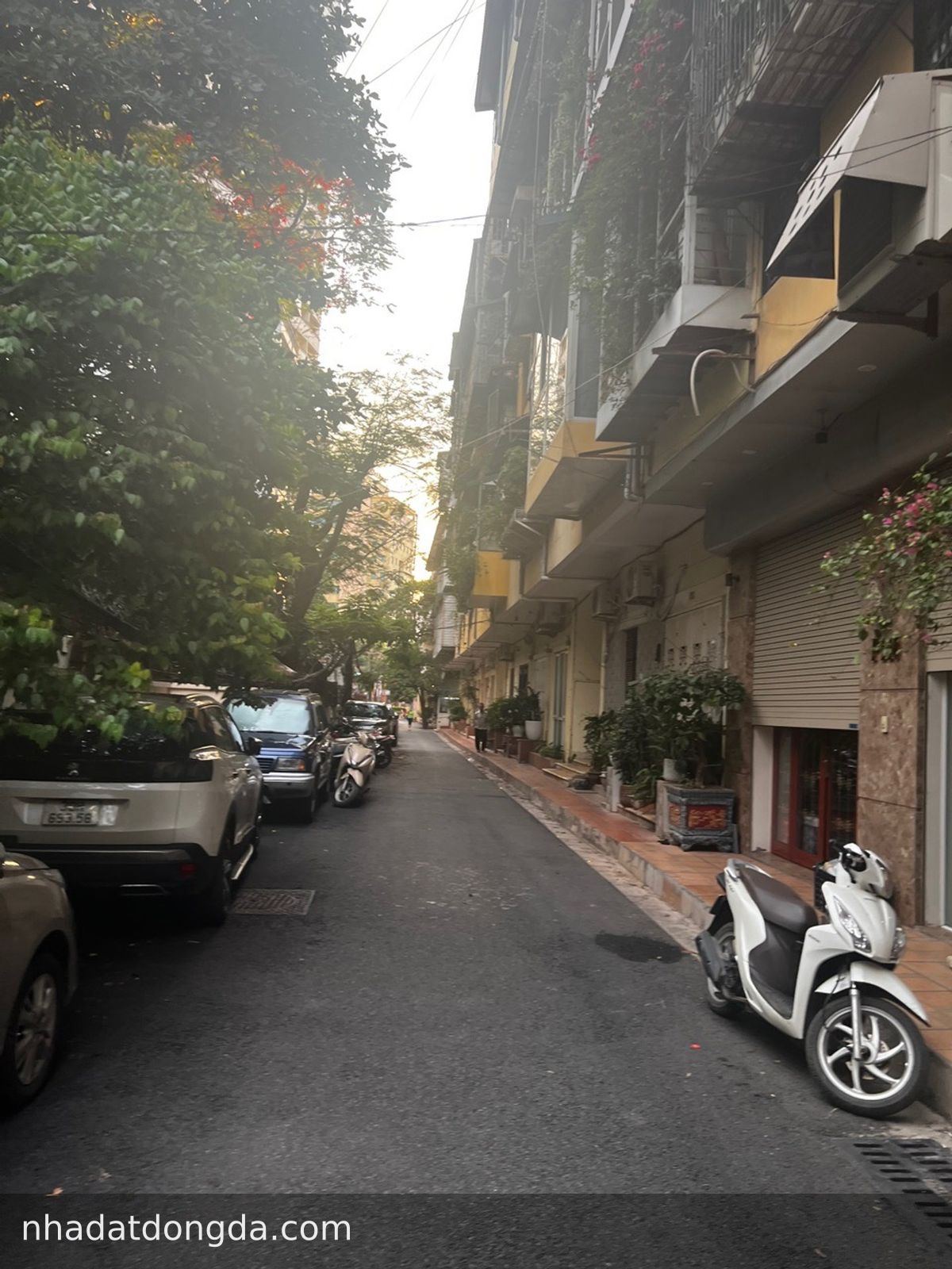 Nhà Chung cư 35 Láng Hạ.P311, Láng, 5.3 tỷ